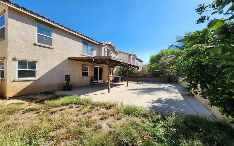 large backyard with lots of fruit trees