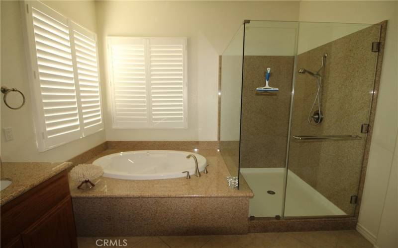 Separate tub and shower