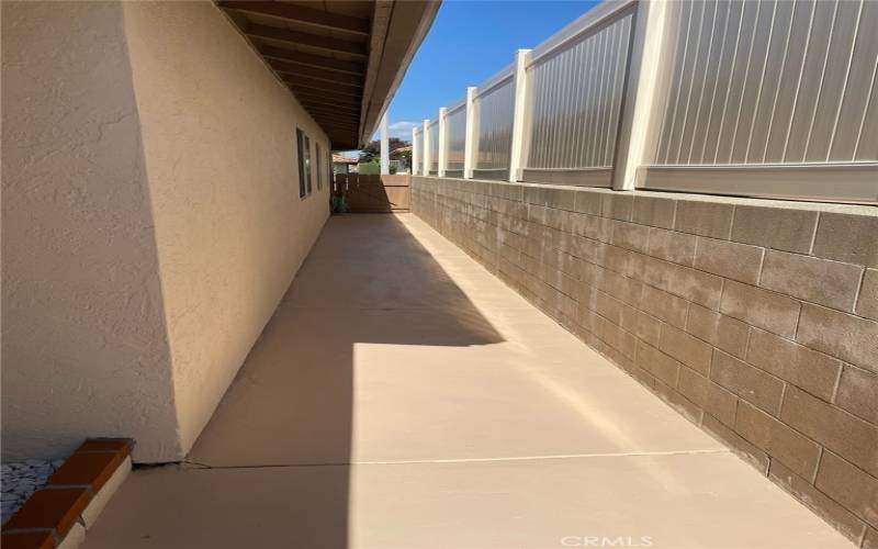 side walkway of house