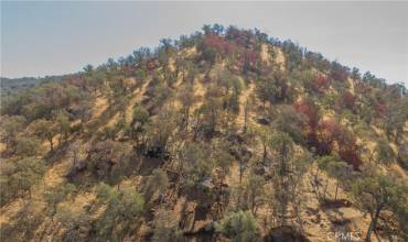 0 Cardinal Ln, Squaw Valley, California 93675, ,Land,Buy,0 Cardinal Ln,FR24211528