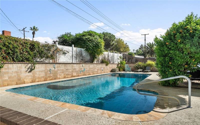 Pool with Pebble Tech Finish