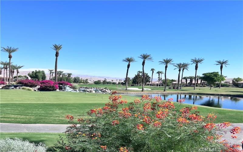 Notice the blue skies, warm weather and golf clubs begging to hit the greens.