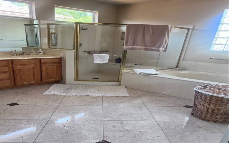 Spacious En-Suite Bathroom with enough dancing space...and walk in closet.