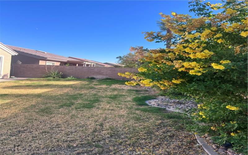 That California blue sky with nearby mountains and a delightful backyard..