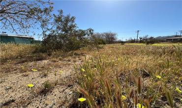 0 Linda Lee Drive, Yucca Valley, California 92284, ,Land,Buy,0 Linda Lee Drive,JT24072404