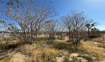 6453 Linda Lee Drive, Yucca Valley, California 92284, ,Land,Buy,6453 Linda Lee Drive,JT24072386