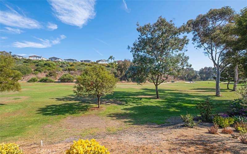 Golf course view