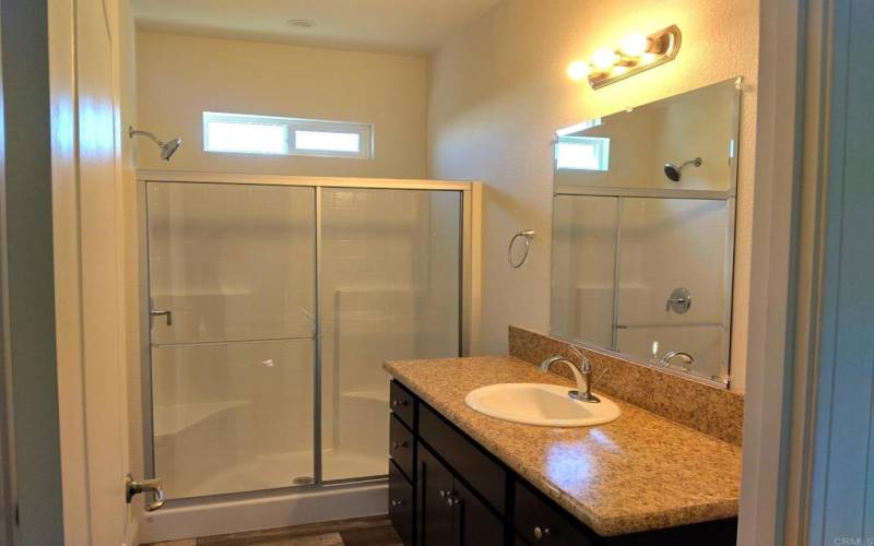 Luxurious primary bathroom with step-in shower and