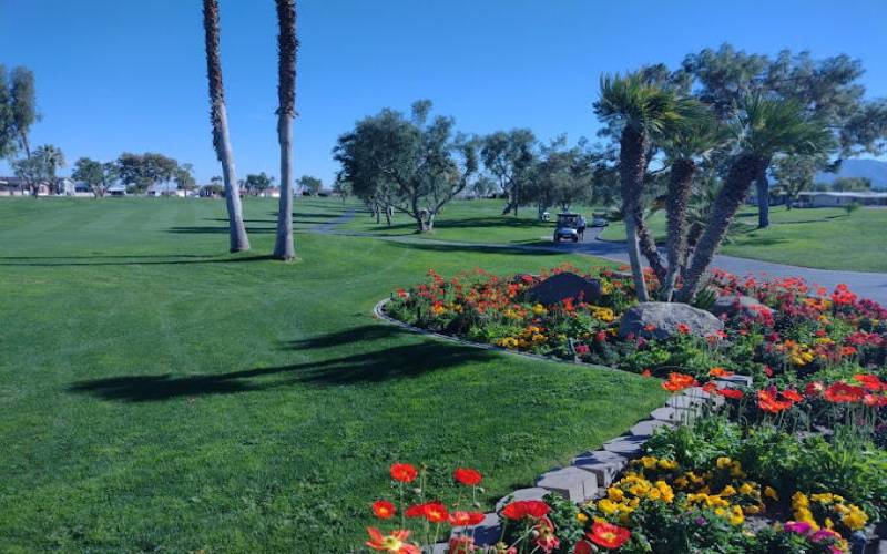 Palm Desert Greens cc 1