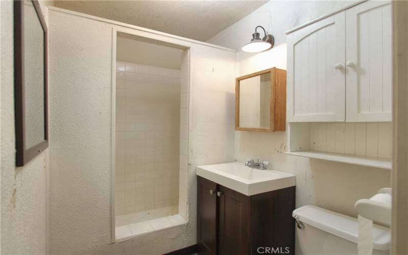 Basement Bathroom