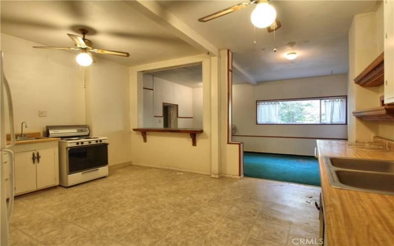 Basement Kitchen