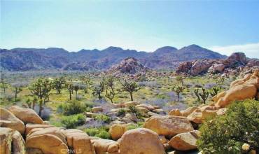 Joshua Tree National Park Nearby