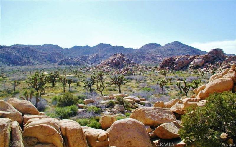 Joshua Tree National Park Nearby