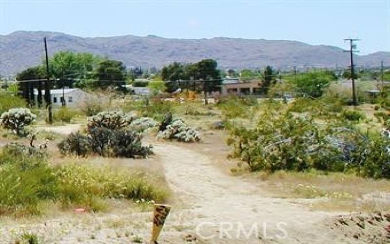 View from the Lot to the Mountain at Joshua Tree National Park