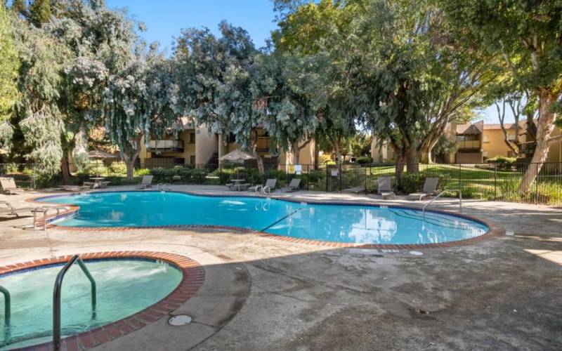 POOL & HOT TUB AREA