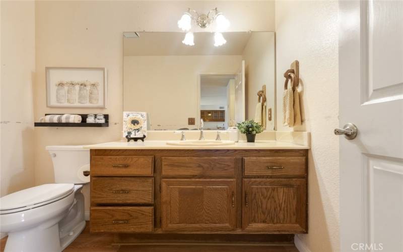 Downstairs guest bathroom.