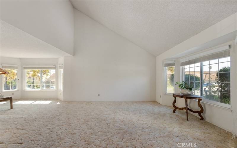 The living room is very spacious with vaulted ceilings.