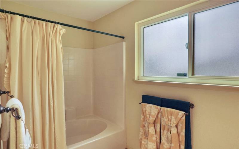 Large soaking tub and shower