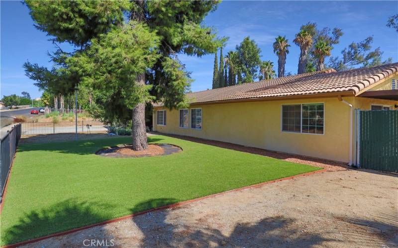 Artificial turf in the front