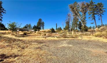 6479 Simon Way, Paradise, California 95969, ,Land,Buy,6479 Simon Way,SN24212967