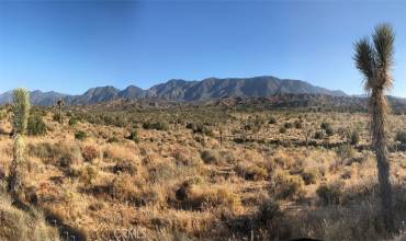 11640 Fort Tejon Road, Pearblossom, California 93553, ,Land,Buy,11640 Fort Tejon Road,SR24215611