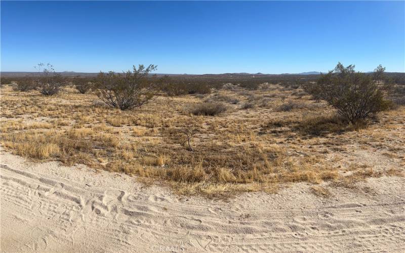 Panoramic view of general Lot location.