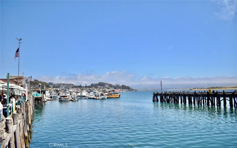 Short walk to the Embarcadero, dining, shops, piers, wine tasting, & more.