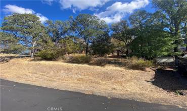 19210 N Shore Court, Hidden Valley Lake, California 95467, ,Land,Buy,19210 N Shore Court,LC24214661