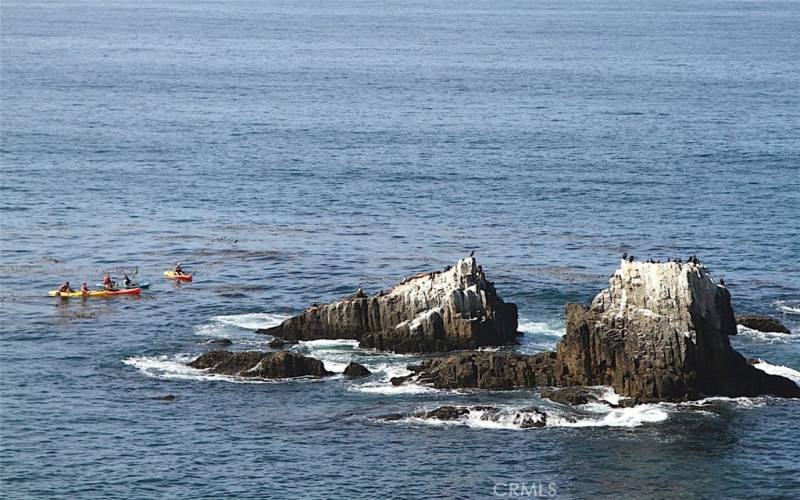 Bird & Seal Rock at Crescent Bay