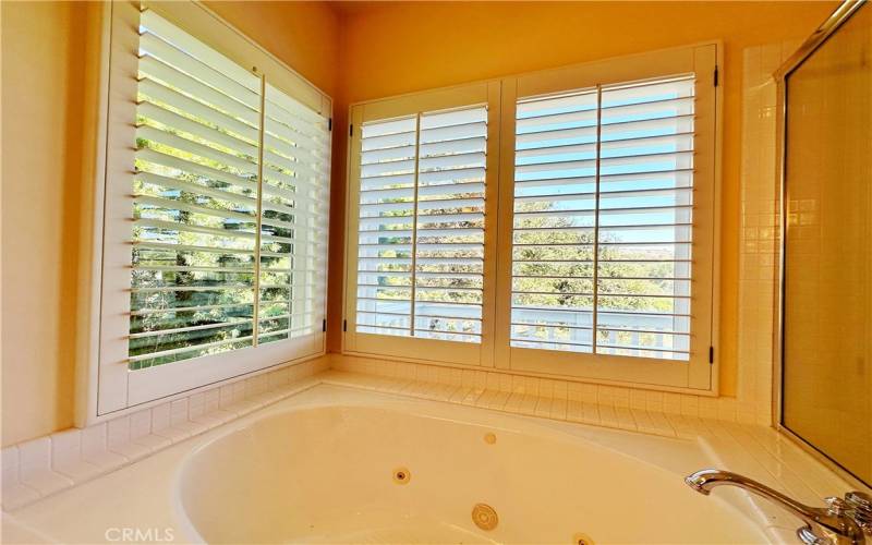 Master suite bathroom