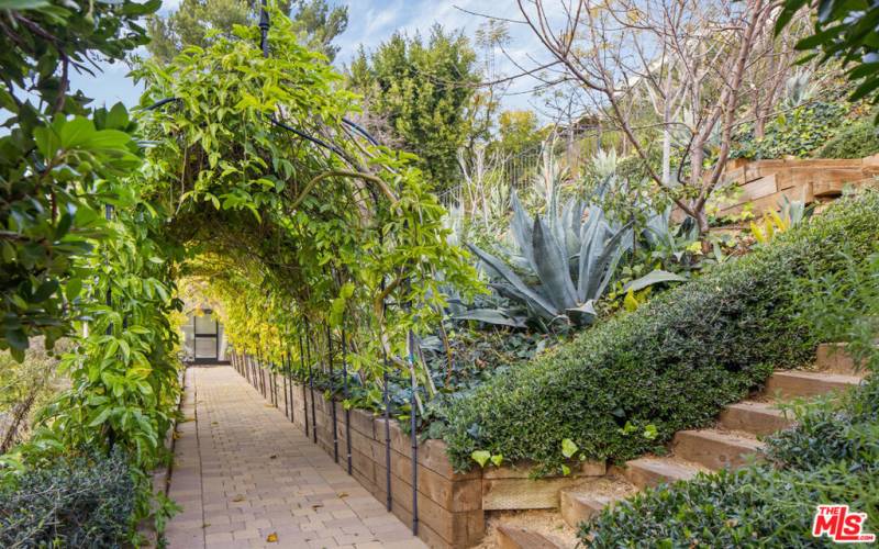 Private rooftop garden with over 80 fruit trees, herb gardens and passion fruit arbor!