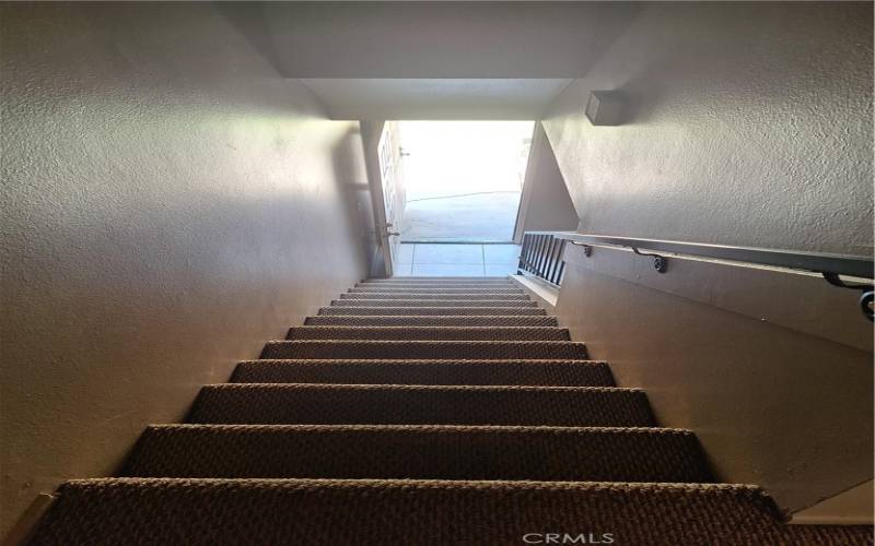 Carpeted Stairs