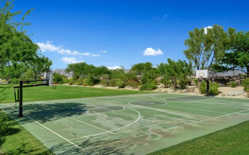 basketball court 2