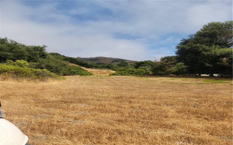 Panorama of the open field and old quarry