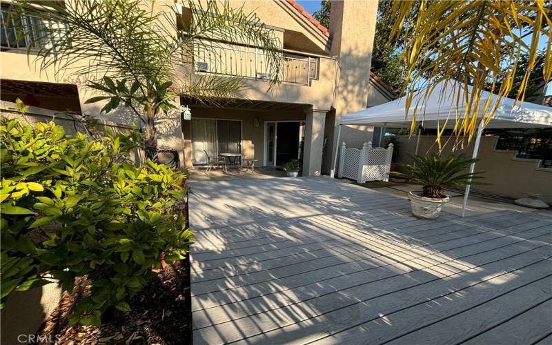 Patio and backyard