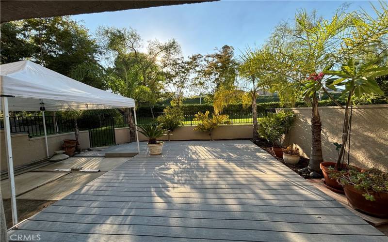 Backyard and patio