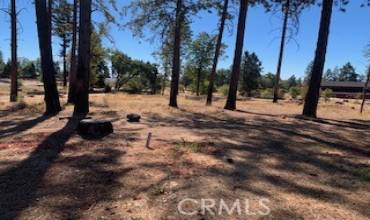 1280 Kling Court, Paradise, California 95969, ,Land,Buy,1280 Kling Court,PA24216673