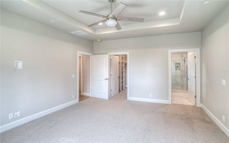 primary bedroom view of walk-in closet and master bathroom