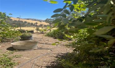 29101 Deertrail Drive, Tehachapi, California 93561, ,Land,Buy,29101 Deertrail Drive,SR24216885