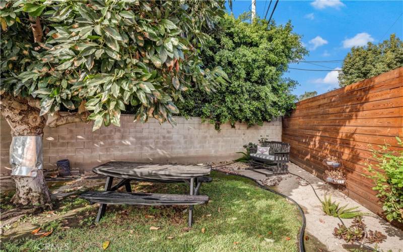 Park like backyard with your own Avocada tree!