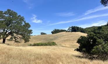 0 Little Uvas Road, Morgan Hill, California 95037, ,Land,Buy,0 Little Uvas Road,ML81983610