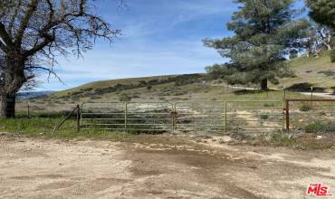 32625 Pine Canyon Road, Lancaster, California 93536, ,Land,Buy,32625 Pine Canyon Road,24453741