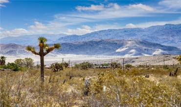 2830 Bonair Road, Joshua Tree, California 92252, ,Land,Buy,2830 Bonair Road,JT24217130