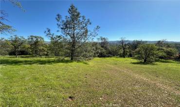 169 Shady Oak Drive, Oroville, California 95966, ,Land,Buy,169 Shady Oak Drive,SN24217139