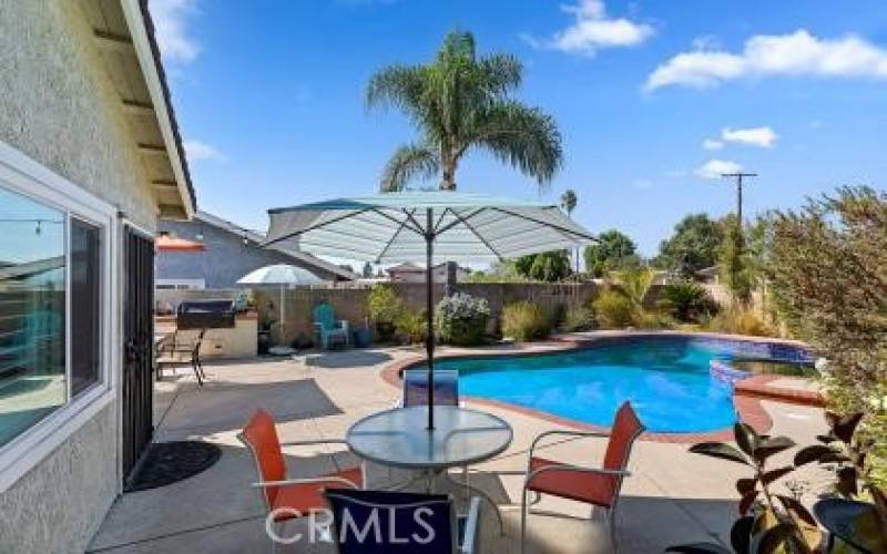 Backyard Pool View