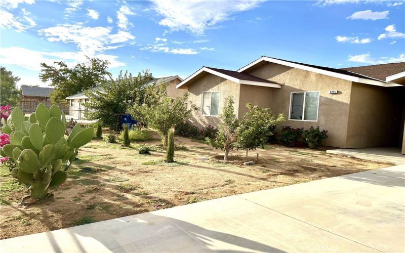 Front Yard - Garden