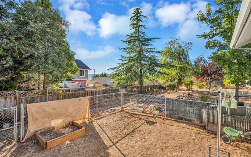 Dog run and garden area.