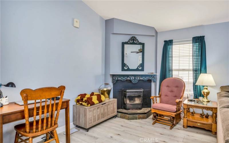 Pellet stove in living area.