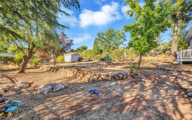 Backyard area.