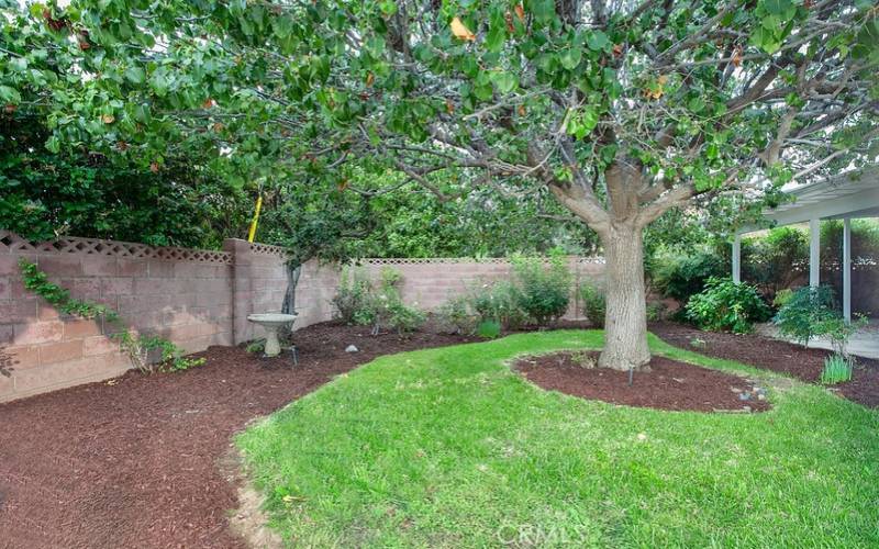 The exquisitely landscaped backyard will be a favorite entertainment destination with its large covered patio with lighting, green lawn, manicured flowerbeds, raised garden beds, mature shade trees, vintage David Austin roses, and gated RV access and parking.